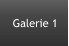 Galerie 1