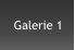 Galerie 1